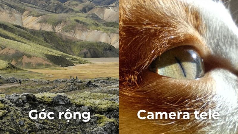 Ảnh chụp bằng camera g&oacute;c rộng v&agrave; camera tele của 2 phi&ecirc;n bản