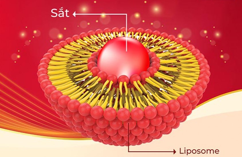 Ferrolip - Sắt sinh học tiên phong ứng dụng công nghệ liposome