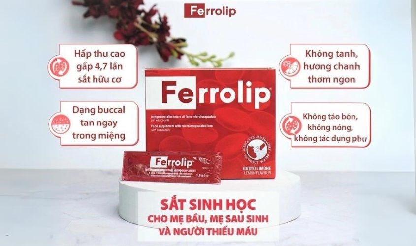công dụng của sắt Ferrolip