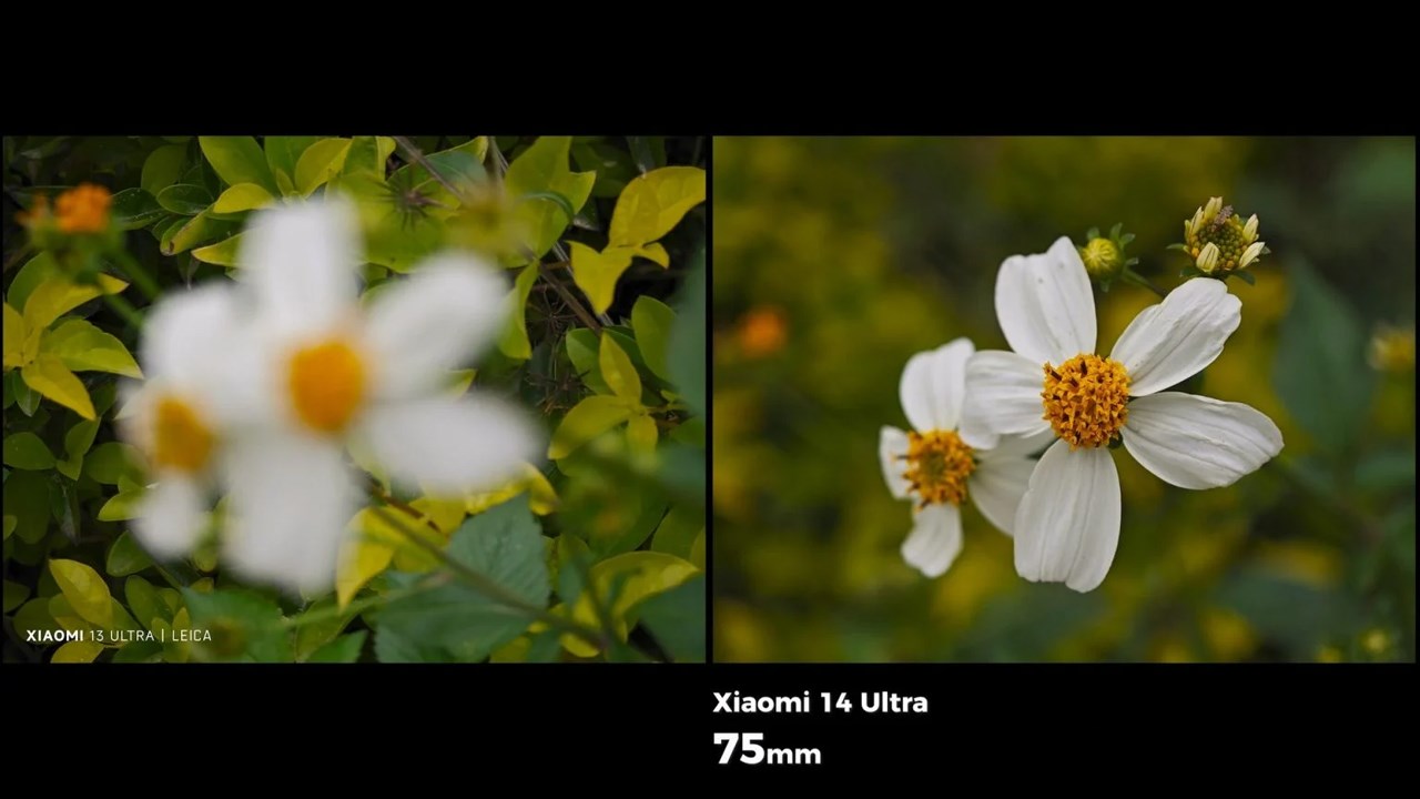 So sánh ảnh chụp macro giữa Xiaomi 14 Ultra (phải) và Xiaomi 13 Ultra (trái)