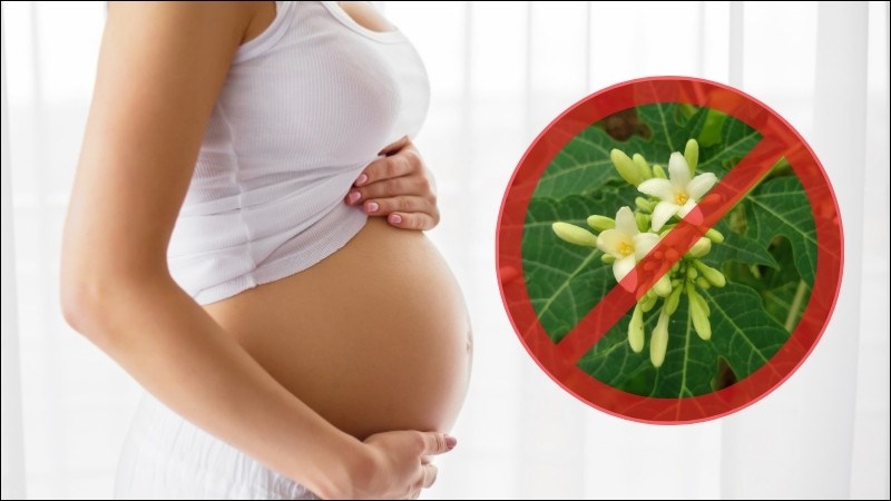 Phụ nữ mang thai không nên uống hoa đu đủ đực