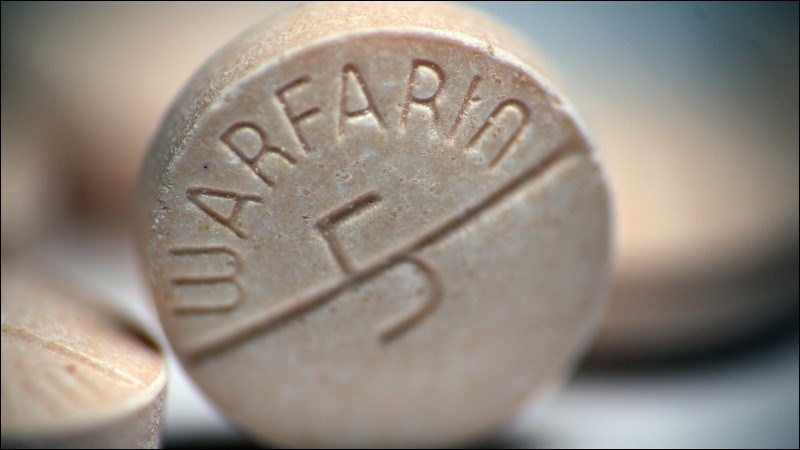 Thuốc Warfarin dùng chung với hoa đu đủ đực có thể gây bầm tím, chảy máu khó cầm