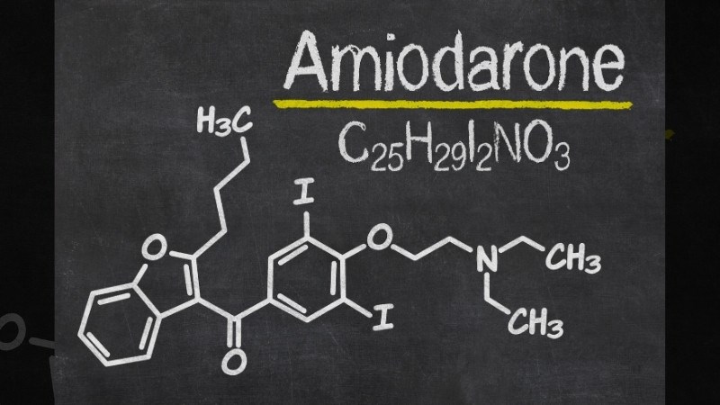 Thuốc amiodarone kết hợp với hoa đu đủ đực có thể nhiều tác dụng phụ