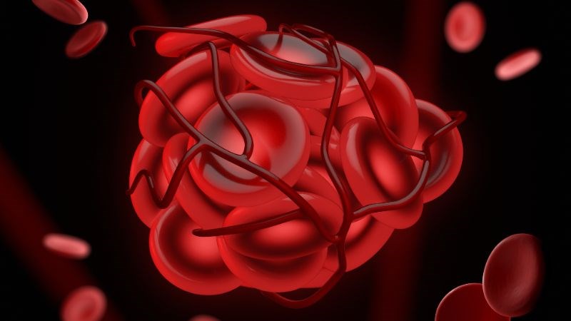 Vitamin K trong cỏ linh lăng có vai trò quan trọng trong quá trình đông máu