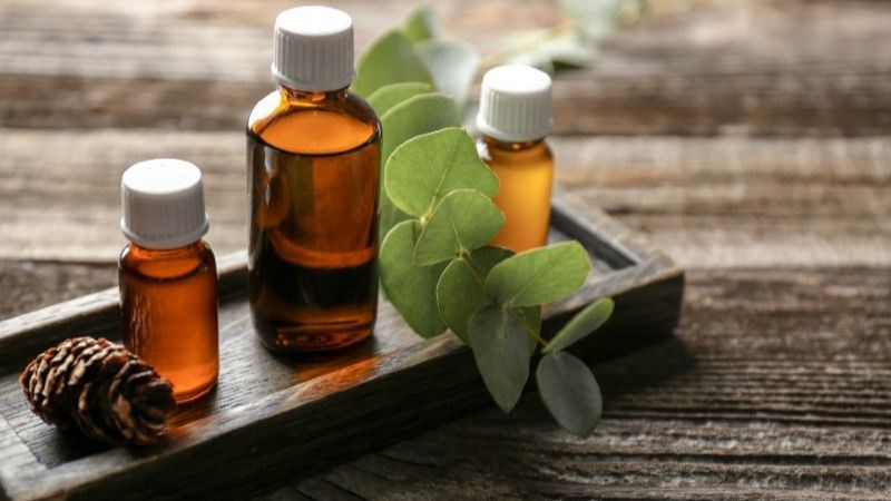 Dầu khuynh diệp chứa một số hoạt chất có tác dụng trị ho như sabinene, limonene và flavonoids Dầu khuynh diệp chứa một số hoạt chất có tác dụng trị ho như sabinene, limonene và flavonoids