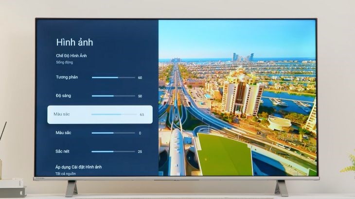 Google Tivi Toshiba 4K 55 inch 55C350LP - Tùy chỉnh thông số