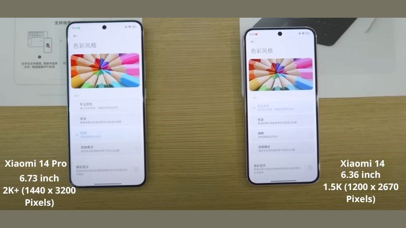 Xiaomi 14 v&agrave; Xiaomi 14 Pro kh&aacute;c biệt về k&iacute;ch thước m&agrave;n h&igrave;nh v&agrave; độ ph&acirc;n giải