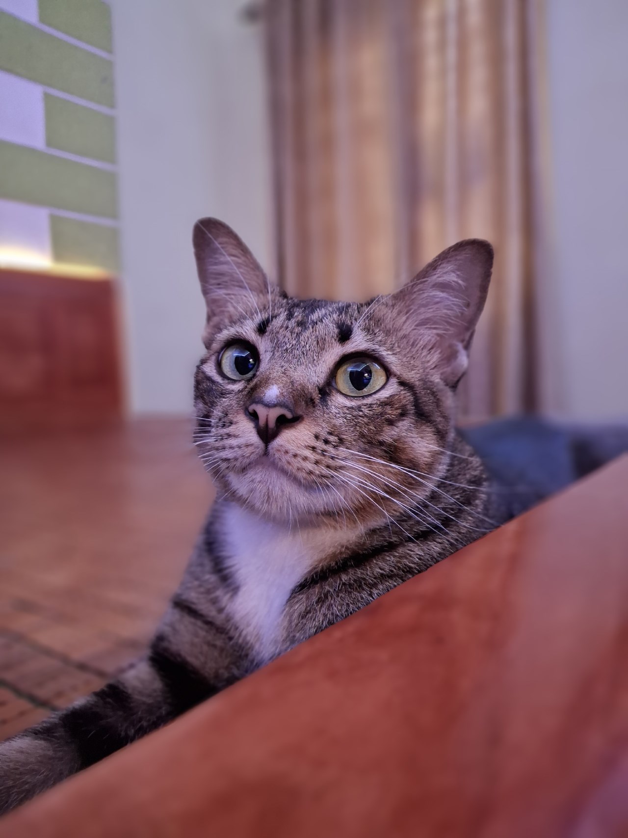 Ảnh chụp ở chế độ chân dung xóa phông trong điều kiện thiếu sáng từ camera của Galaxy A35 5G.