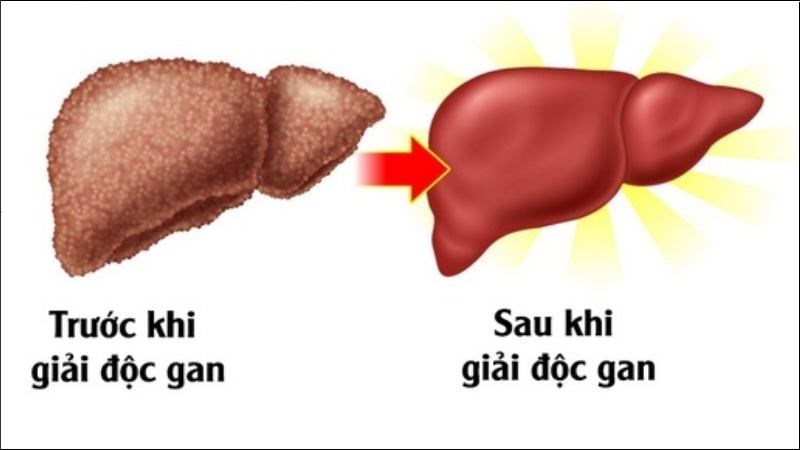 Chanh muối có thể giúp đào thải độc tố trong gan hiệu quả