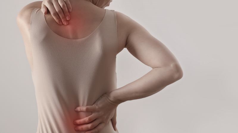 Hạt é giúp giảm đau nhờ đặc tính kháng viêm