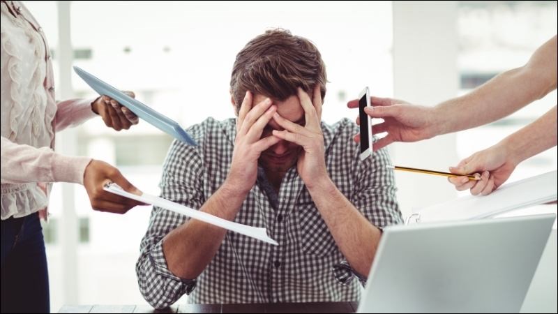 Tiêu thụ hạt é thường xuyên có thể giúp giảm tình trạng căng thẳng