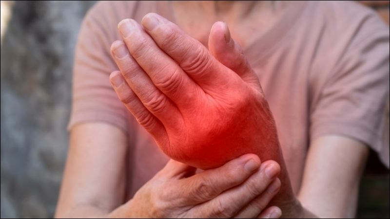 Đặc tính chống viêm của hạt é giúp giảm viêm khớp