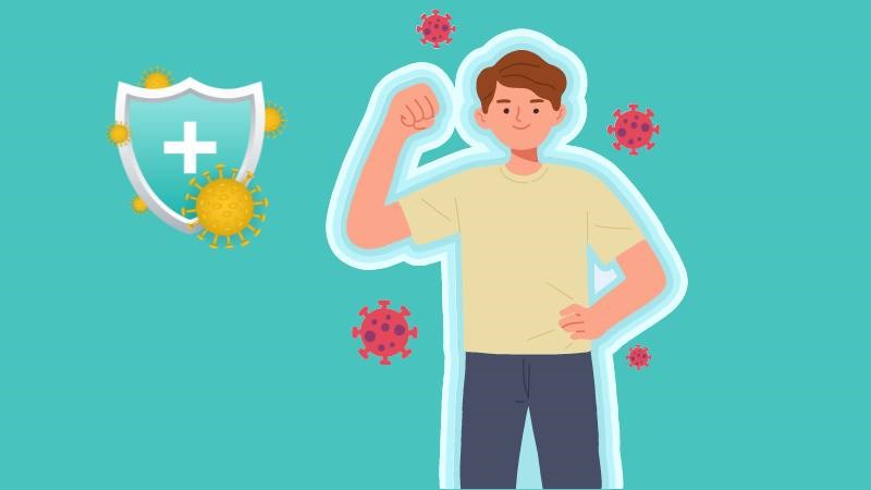 Hạt é giúp tăng cường hệ miễn dịch, đặc biệt là tế bào T
