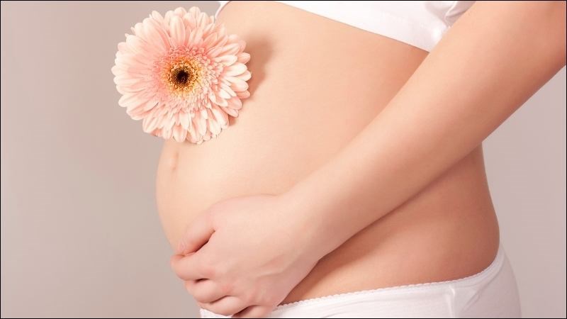 Phụ nữ mang thai không nên sử dụng hạt é vì nguy cơ sảy thai