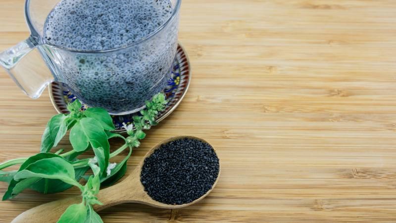 Hạt é hay hạt húng quế được thu hoạch từ cây húng quế ngọt