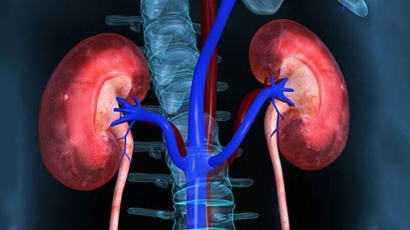 Người bị suy thận cấp nghiêm trọng có thể phải nằm ICU