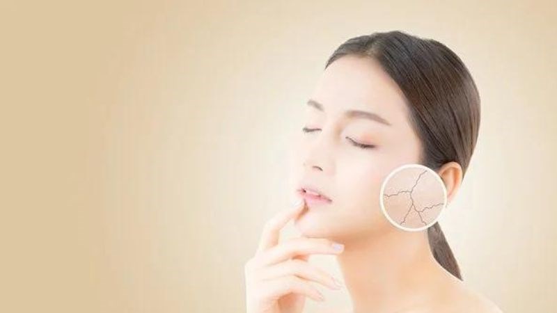 Nấm bào ngư có nhiều chất chống oxy hóa làm chậm lão hóa da
