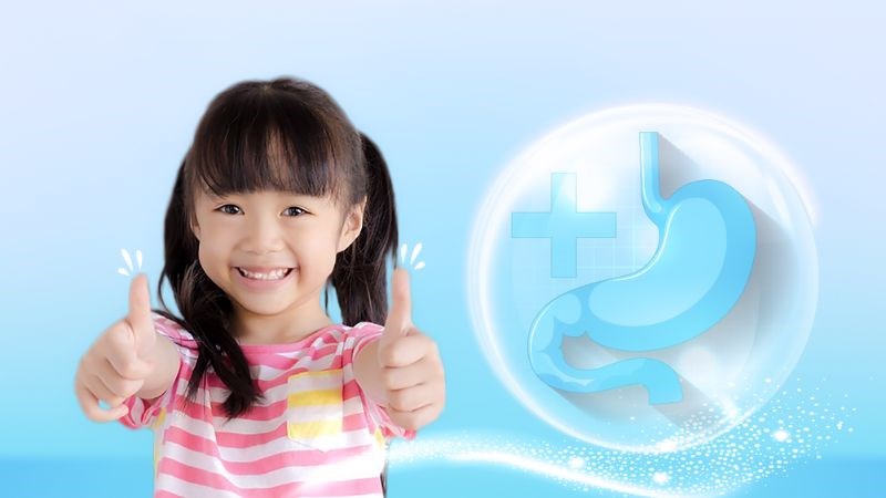 Ăn nấm bào ngư thường xuyên có thể giúp hệ tiêu hóa hoạt động tốt hơn