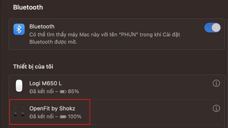 Kết nối th&agrave;nh c&ocirc;ng OpenFit với Macbook