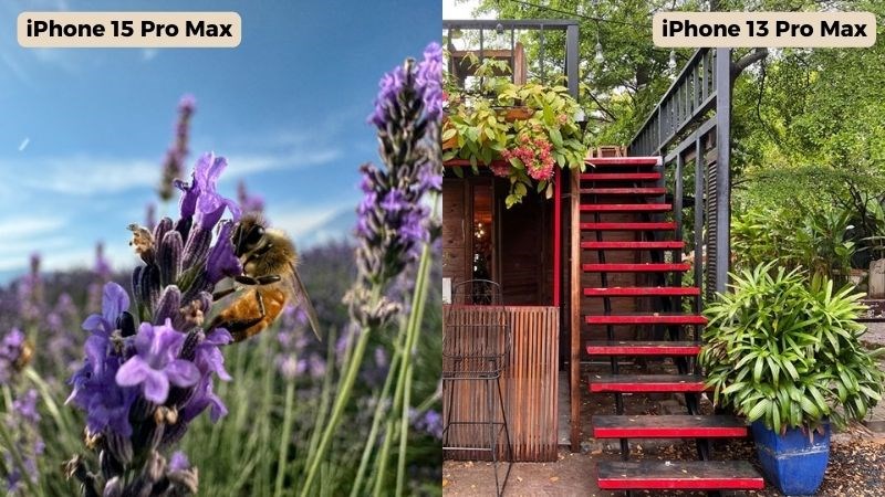H&igrave;nh chụp từ iPhone 15 Pro Max v&agrave; iPhone 13 Pro Max