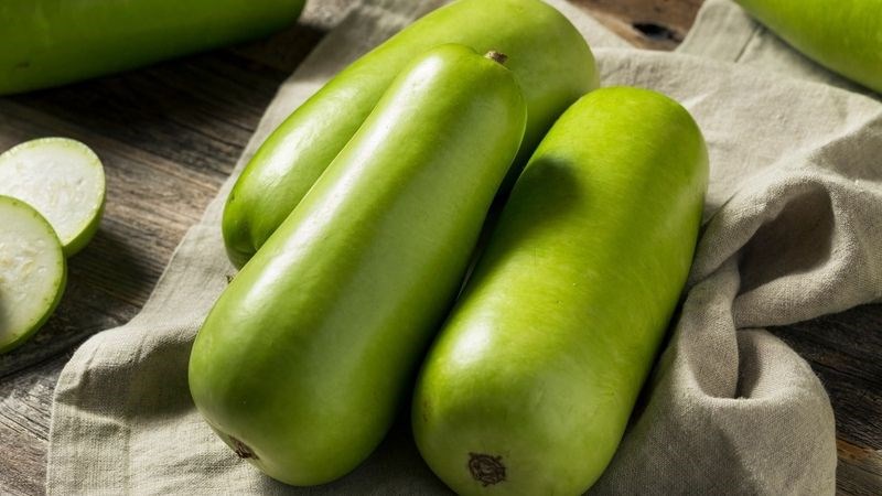 Sử dụng quả bầu có vị đắng có nguy cơ cao gây ngộ độc Cucurbitacin