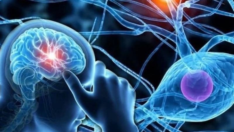 Nước ép lê có chứa một lượng khoáng chất đồng giúp cải thiện chức năng hệ thần kinh