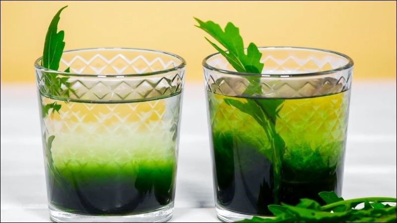 Phụ nữ mang thai hoặc đang cho con bú không nên uống nước diệp lục