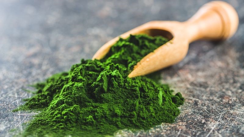 Diệp lục có tác dụng ức chế sự phát triển vi khuẩn, ngăn ngừa nhiễm trùng