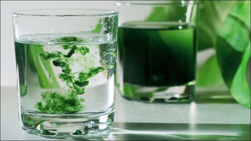 Chất diệp lục có đặc tính khử mùi tự nhiên
