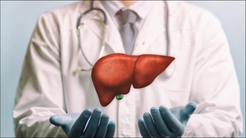 Flavonoid trong hoa cúc chi đóng vai trò chính trong tác dụng bảo vệ tổn thương gan cấp tính