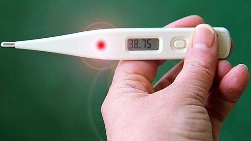 Hoa cúc chi có thể sử dụng trong bài thuốc chữa ho, sốt, cảm mạo