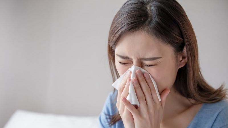 Bài thuốc chữa cảm phong hàn có thể dùng vài vị thuốc khác và hoa cúc