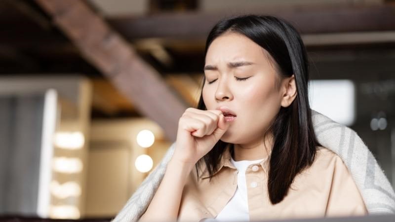 Nhờ đặc tính kháng viêm, hoa cúc chi có thể giúp tiêu đờm, giảm ho