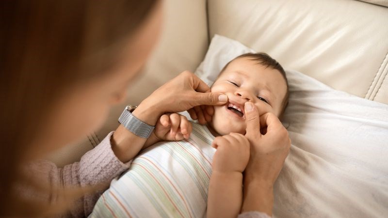 Nhìn vào răng bé sẽ thấy xuất hiện chồi răng nhỏ