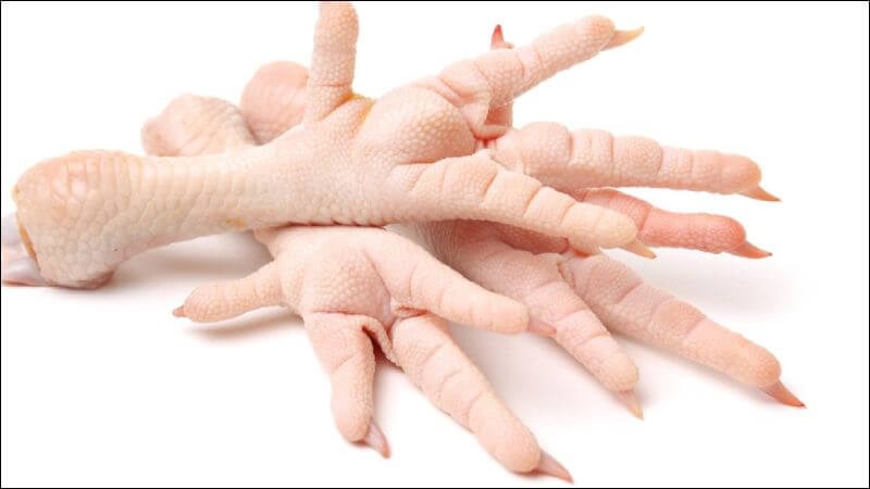 Chân gà là một nguyên liệu phổ biến trong nhiều món ăn truyền thống mang lại nhiều lợi ích cho sức khỏe