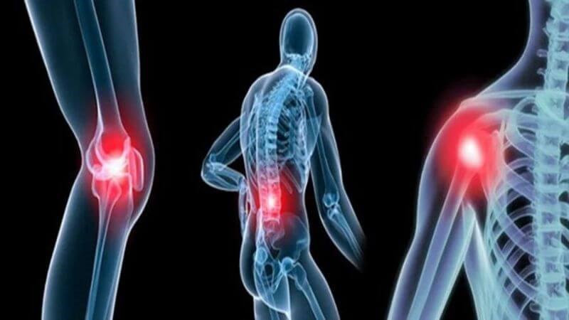 Bài thuốc giúp làm giảm chứng hư nhược, đau mỏi gân xương và mệt mỏi