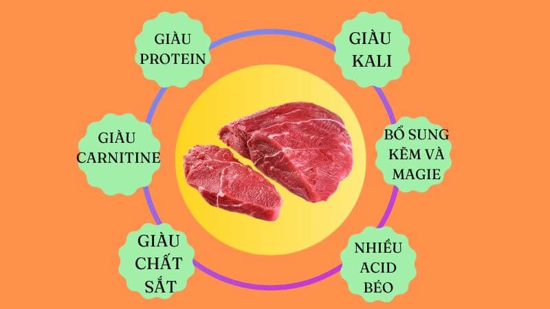 Thịt bò chứa nguồn dưỡng chất dồi dào như calci, kali, phospho, sắt và kẽm