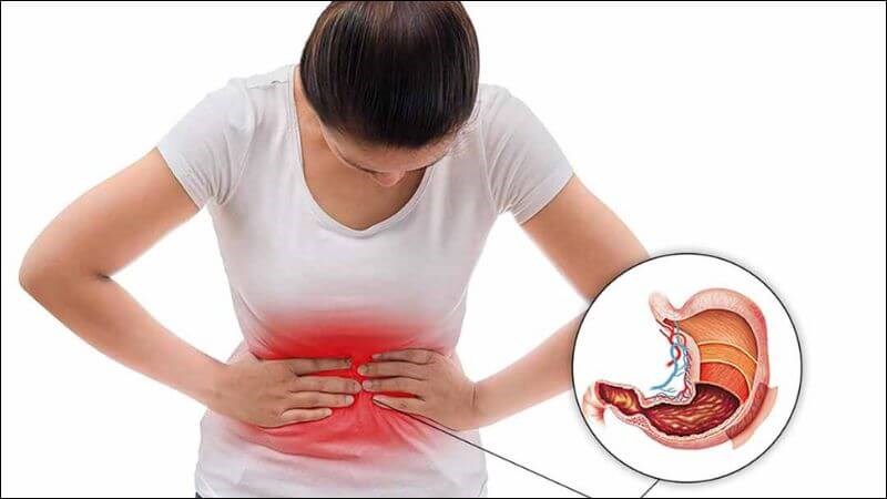 Lá vú sữa giúp giảm tình trạng đau dạ dày