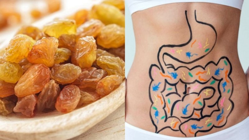 Nho khô chứa lượng chất xơ dồi dào rất tốt cho hệ tiêu hóa