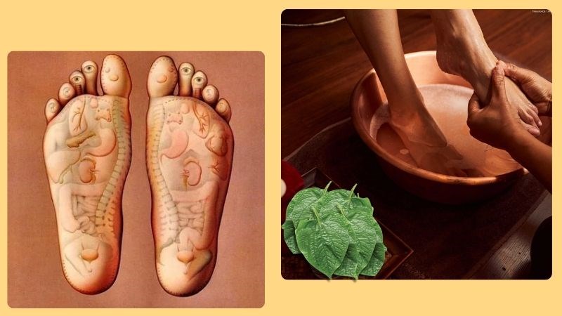 Ngâm chân lá lốt kết hợp với massage giúp cải thiện chất lượng giấc ngủ