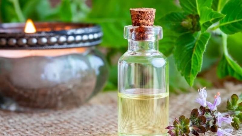 Tinh dầu hương nhu có thể được sử dụng trong máy khuếch tán hoặc nến