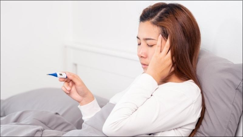 Hương nhu có thể chữa hạ sốt, đau đầu