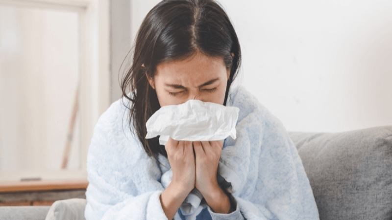 Kết hợp hương nhu với các dược liệu khác có thể chữa cảm lạnh