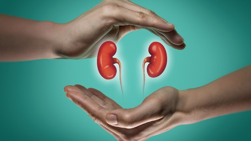 Phối hợp bạch tật lê đã được sao vàng với các dược liệu khác giúp bổ thận tráng dương 