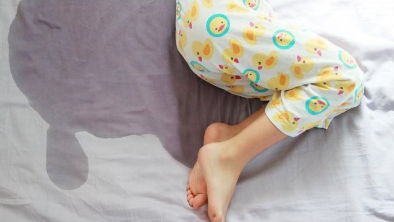 Sắc với lửa nhỏ bài thuốc gồm quả tật lê khô, hoàng kỳ, phục linh, sơn thù trị đái dầm ở trẻ em 