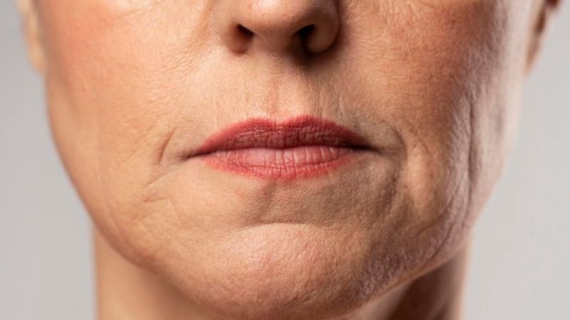 Cây mật gấu có khả năng chống oxy hóa và làm chậm quá trình lão hóa Cây mật gấu có khả năng chống oxy hóa và làm chậm quá trình lão hóa