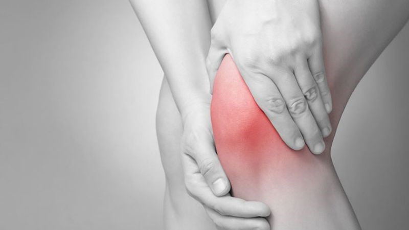 Cây mật gấu thường dùng để làm giảm đau nhức Cây mật gấu thường dùng để làm giảm đau nhức