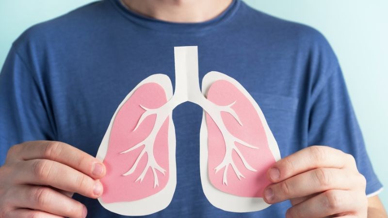 Cây vòi voi giúp kháng khuẩn, hỗ trợ điều trị lao phổi