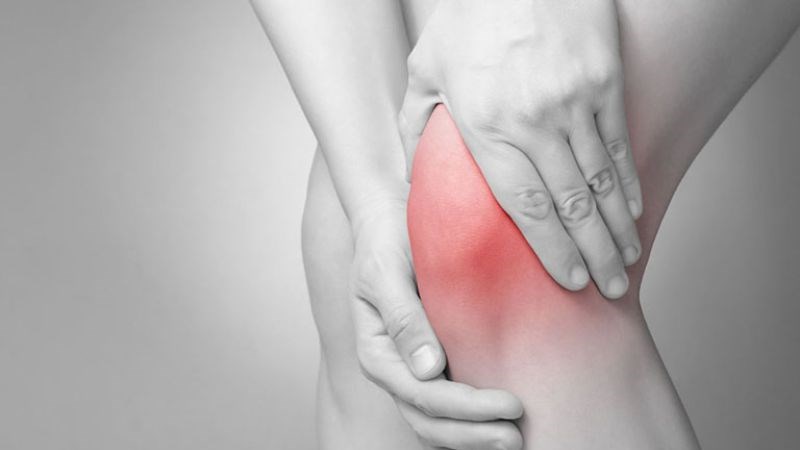 Cây vòi voi được sử dụng để chống viêm