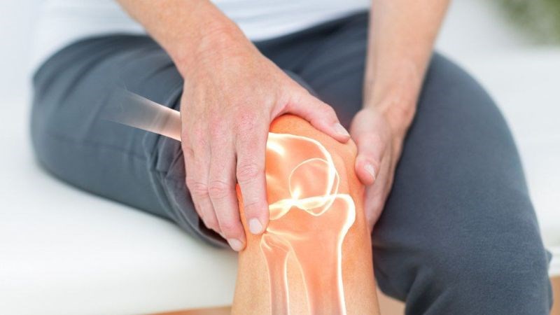 Cây vòi voi có thể giúp bảo vệ sụn khớp